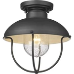 Z-lite 590F-BK Ansel Light 11 Inch Black Outdoor Flush Mount. Fixed Price $103.70.