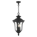 Livex Oxford 3 Light Outdoor Pendant Lantern, Textured Black 7858-14. Fixed Price $334.96.