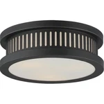 Maxim Lighting 30599WTBK Oxford 12 Inch Black Outdoor Flush Mount. Fixed Price $158.40.