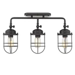Golden Lighting Seaport 3 Linear Semi-flush Track, Black 9808-LSFBLK. Fixed Price $59.99.