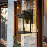 Matte Black Dusk Dawn Outdoor Porch Light With Photocell Sensor. Fixed Price $71.99.