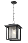 Aspen 1-LIGHT Outdoor Chain Mount Ceiling Fixture Black. Fixed Price $266.00.