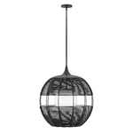 Hinkley Lighting Maddox Outdoor Orb Pendant, Black/etched Opal - 19675BK. Fixed Price $974.99.