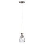 Hinkley Lighting Plantation Mini-pendant, Antique Nickel 5317PL. Fixed Price $169.15.