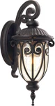 23" Antique Bronze Outdoor Wall Lantern With Clear Seeded Glass Shade. Fixed Price $237.99.