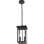 Outdoor Chandelier 2 Light Fixture Exterior Porch Walkway Hanging Lantern Lamp. Fixed Price $127.07.