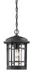Designers Fountain 22434 Pewter Barrister Single Light 9"W Outdoor Mini Pendant. Fixed Price $71.82.
