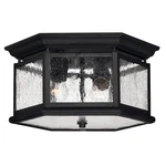 Hinkley Lighting Edgewater 2 Outdoor Flush Mount, Black - 1683BK. Fixed Price $299.00.