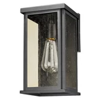Acclaim Lighting Lyons 1LT 12" Outdoor Wall Mount, Black/seed Champagne - 1049BK. Fixed Price $96.00.