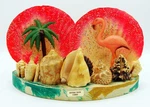 Vintage Fluorescent Sea Shell Pink Flamingo Tv Lamp Conch Daytona Beach. Fixed Price $78.00.