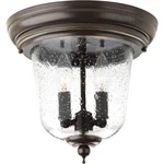 Progress Lighting Ashmore Collection 2-LIGHT Clear Seeded Glass New Tradition.... Fixed Price $172.00.