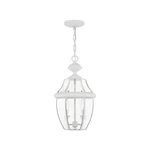 Livex Lighting 2255-03 Monterey 2-LIGHT Outdoor Hanging Lantern, White. Fixed Price $262.41.