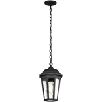 Nuvo Lighting 60/5944 East River 8.25 Inch Matte Black Outdoor Hanging Lantern. Fixed Price $209.99.