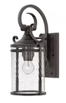 Casa 1-LIGHT Outdoor In Olde Black With Clear Seedy Glass. Fixed Price $369.00.