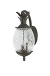 Acclaim Lighting Lanai 9.5" Wall Lamp Bronze / Dark 3-LIGHT. Fixed Price $240.00.