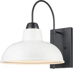 Asher Hamilton Hawthorne Outdoor Wall Lamp Black Finish 13.75 X Inch. Fixed Price $98.99.