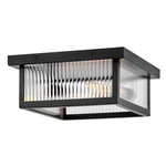 Hinkley Lighting Torrent 2LT Outdoor Flush Mount, Black/clear Ribbed - 10603BK. Fixed Price $279.65.
