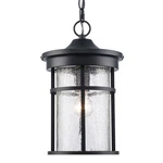 Trans Globe Lighting 40385 Black Crackled 1-LIGHT Outdoor Lantern Pendant. Fixed Price $155.80.