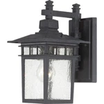 Nuvo 60-4953 12" Outdoor Hanging Lights Textured Black Finish. Fixed Price $89.99.