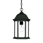 Acclaim Lighting 5186 Black/clear Madison 1-LIGHT 14"H Outdoor Pendant. Fixed Price $106.00.