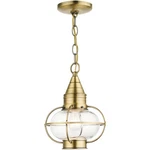 Livex Lighting 26910-01 Newburyport Outdoor Pendant Chandeller Antique Brass. Fixed Price $349.96.
