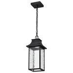 Nuvo Lighting 62/5996 Austen 8"W Led Outdoor Mini Pendant - Black. Fixed Price $266.99.