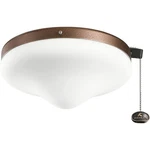 Accessory 10.25 Inch 9W Led Outdoor Ceiling Fan Light Kit-weathered Copper. Fixed Price $124.95.