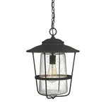 Capital Lighting Creekside 1 Hanging Lantern, Black, Clear Seeded - 9604BK. Fixed Price $414.00.
