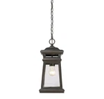 Taylor 1 Light Outdoor Hanging Lantern English Bronze With Gold By Savoy. Fixed Price $110.00.