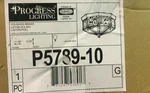 Progress Lighting P5789-10 4-LIGHT Polished Brass Outdoor Flushmount New. Fixed Price $48.99.