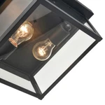 Millennium Lighting Evanton Lt Outdoor Flush Mount, Black/seeded 4202-PBK. Fixed Price $157.90.