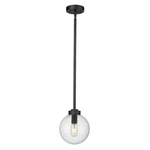 Z-lite Laurent 1 Light Outdoor Pendant, Black/clear Seedy 599P8-BK. Fixed Price $124.99.