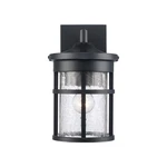 Trans Globe Lighting 40380 Crackled 1 Outdoor Lantern Wall - Black. Fixed Price $91.20.