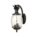 Acclaim Lighting 7512BK Lanai 3 22 Inch Matte Black Exterior Wall Mount. Fixed Price $168.00.