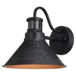 Vaxcel Outland Dualux 10" Outdoor Motion Sensor Wall Light, Iron/gold - T0669. Fixed Price $149.99.