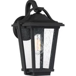 Quoizel DRS8409 Black Darius Single Light 15"H Outdoor Wall Sconce. Fixed Price $249.99.
