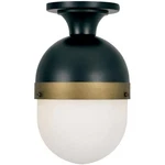 Crystorama CAP-8500-MK-TG Capsule Outdoor Ceiling Light. Fixed Price $174.40.