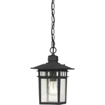 Nuvo Lighting 60/4956 Cove Neck Outdoor Pendant Chandeller Textured Black. Fixed Price $73.59.