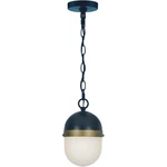 Crystorama CAP-8506-MK-TG Capsule Outdoor Pendant Chandeller. Fixed Price $318.40.