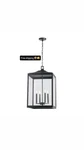 Home Decorators Havenridge 4-LIGHT Matte Black Outdoor Chandelier Clear Glass Nw. Fixed Price $129.99.