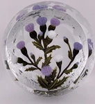 Breathtaking Cathy Richardson's 2024 Engraved Thistles 1 Of Glass Paperweight. Fixed Price $3750.00.