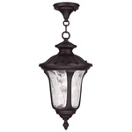 Livex Lighting 7854-07 Oxford 1 Outdoor Hanging Lantern, Bronze. Fixed Price $281.98.