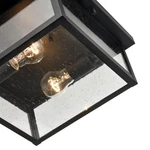 Millennium Evanton 2-LIGHT Outdoor Hanging Powder Coat Black. Fixed Price $159.90.
