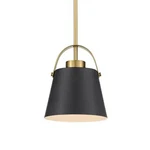 Roseto ZP31829MBKHTB - Pendants Indoor Lighting. Fixed Price $89.00.