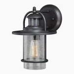 11" Rubbed Bronze Outdoor Wall Light Motion Sensor Security Seeded Glass Shade. Fixed Price $105.99.