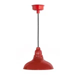 Cocoweb 12" Dahlia Led Hanging Barn Light Red With 7' Cord. Fixed Price $129.99.