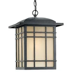 Quoizel HC1913IB Hillcrest Outdoor Lantern In Bronze. Fixed Price $499.99.