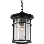 Trans Globe Lighting 40386-BK Avalon Outdoor Pendant Chandeller Black. Fixed Price $283.10.