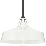 Progress Lighting P550116 Cedar Springs 13"W Outdoor Pendant - White. Fixed Price $112.49.