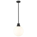 Z-lite Laurent Light 16" Outdoor Pendant, Black/opal 597P12-BK. Fixed Price $320.00.